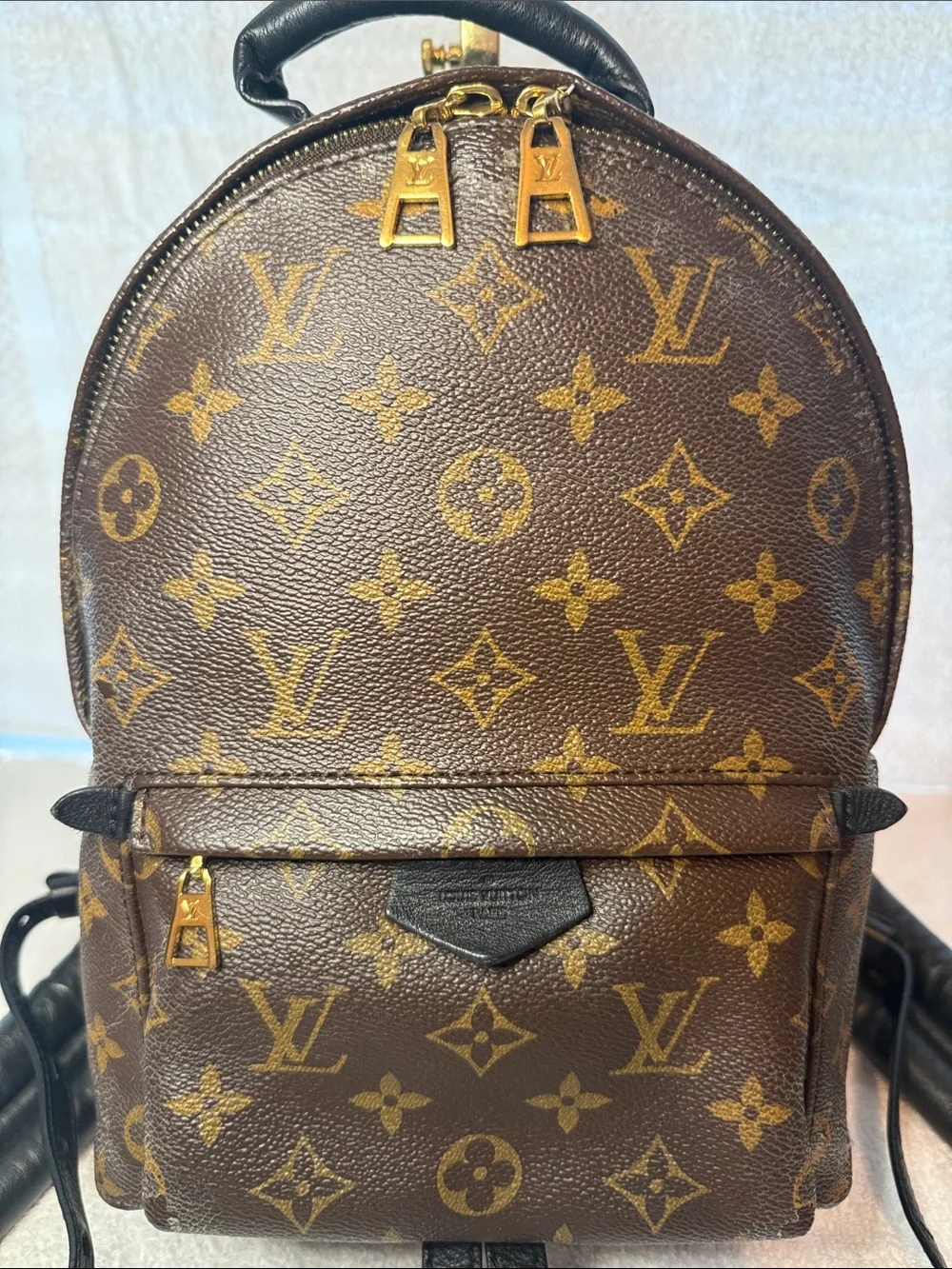 Louis Vuitton Palm Springs Monogram Mini Backpack with Gold Hardware